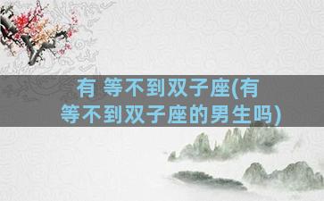 有 等不到双子座(有 等不到双子座的男生吗)